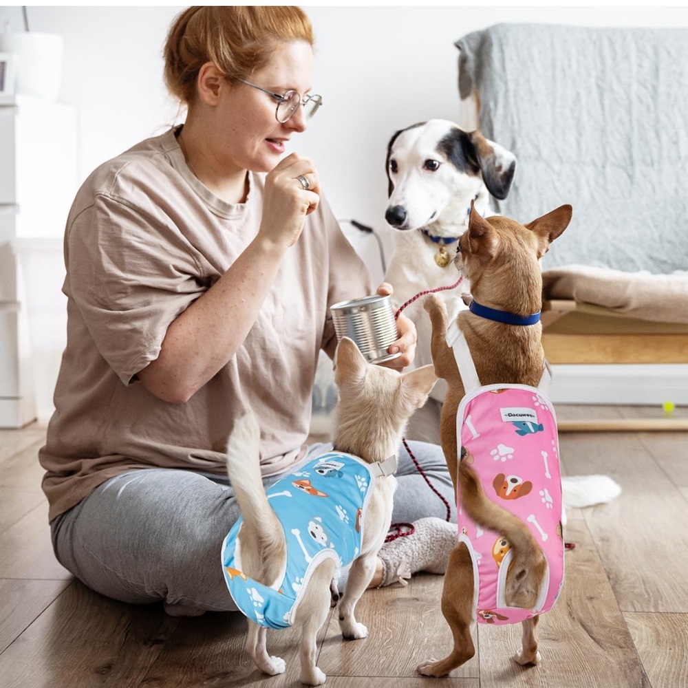 Dog Heat Pad Diaper